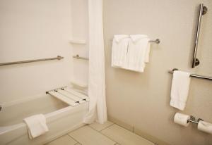 Holiday Inn Express Hotel & Suites Albany, an IHG Hotel في ألباني: حمام به مناشف بيضاء وحوض استحمام