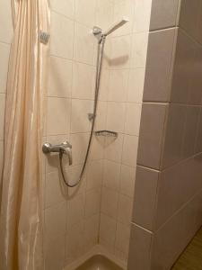 a shower in a bathroom with a shower curtain at Grüne Au Hotel in Hasselroth