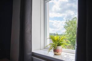 Foto dalla galleria di Newport house sleeps 9 - Mycityhaven a Newport