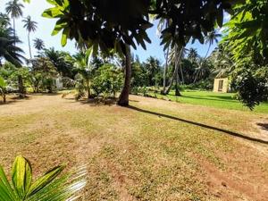 a grass field with a tree in a park at MOOREA - Local Spirit Iti 2 in Hauru