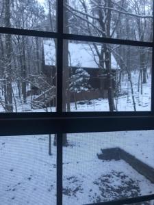 uma vista a partir de uma janela de um pátio coberto de neve em Birds Eye View Chalet em Mentone