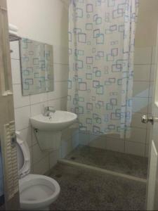 ein Bad mit einem WC und einem Duschvorhang in der Unterkunft 稻禾民宿 