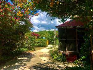 Φωτογραφία από το άλμπουμ του Moringa Ingadi σε Treasure Beach
