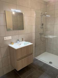 een badkamer met een wastafel en een douche met een spiegel bij Vakantieappartement Nature-L-ment in La-Roche-en-Ardenne