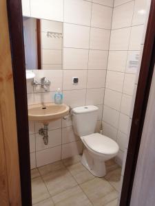 uma casa de banho com um WC e um lavatório em Leśny dworek - pokoje nad jeziorem em Koczała