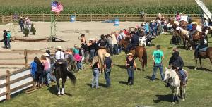 um grande grupo de pessoas montando cavalos em um campo em B&B Quarterhouse em Moerkerke