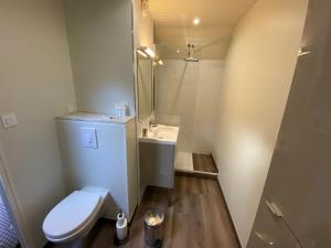 a small bathroom with a toilet and a sink at Appartement Duplex in Luchon