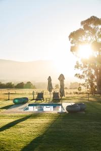 a pool with chairs and umbrellas in a field at Raptor Rise in Tulbagh