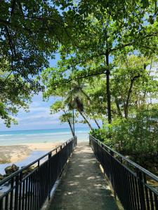 a walkway to the beach with trees and the ocean at Oceanic View Apartments in Beau Vallon
