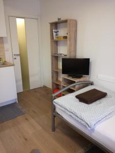 Kleines Zimmer mit einem Bett und einem TV in der Unterkunft Malý útulný byt V Lipkách in Hradec Králové