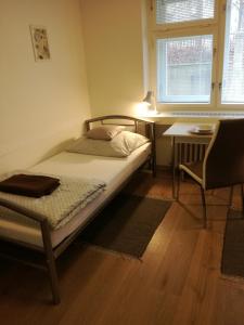 um quarto com uma cama, uma secretária e uma cadeira em Malý útulný byt V Lipkách em Hradec Králové