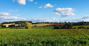 a field of green grass with a blue sky and clouds at Trevejean chambre d'hotes de charme in Guerlédan