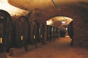 a row of wine barrels in a wine cellar at Schmuckkästle am Hafen in Wiesbaden