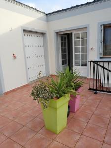a patio with potted plants in front of a house at L'Appartement du Veillon in Talmont