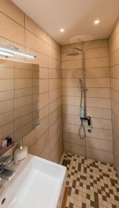 a bathroom with a shower and a white sink at Apartmani Jovčić in Leskovac