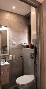 łazienka z toaletą i umywalką w obiekcie Apartmani Jovčić w mieście Leskovac