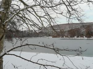 Príroda v okolí apartmánu
