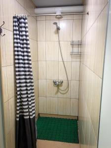ducha con cortina de ducha y alfombra verde en Vyborghostel, en Víborg