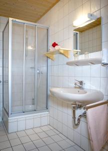 y baño con ducha y lavamanos. en Zum Kirchenwirt, en Lam