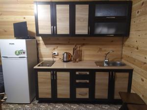 eine kleine Küche mit Spüle und Kühlschrank in der Unterkunft Лукі in Switjas