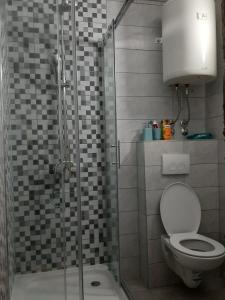 a bathroom with a toilet and a glass shower stall at Studio Una, 150m from the sea, parking, Crikvenica, Dramalj in Dramalj