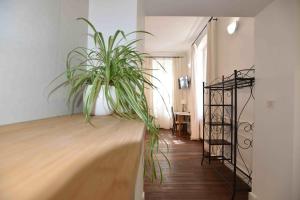 Sainte-Savineにあるオー フィル ドゥ トロワの部屋のテーブルに座る植物