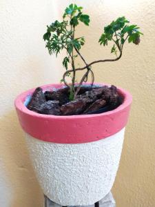 une plante dans un pot blanc et rose à côté d'un mur dans l'établissement Pousada Lua Cheia, à Botucatu