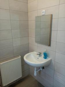 Kúpeľňa v ubytovaní Apartman Pávai-Silye
