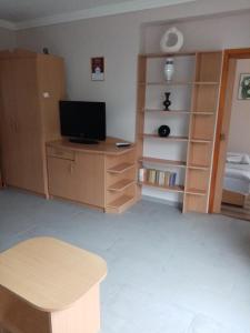 Televízia a/alebo spoločenská miestnosť v ubytovaní Apartman Pávai-Silye