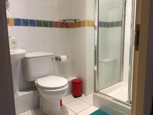 a bathroom with a toilet and a shower at B2 Waterfoot Apartment in Newcastle +37 photos