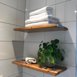 a shelf with towels and a potted plant in a bathroom at Hotel & Appartement de Zevende Heerlijkheid in Slenaken