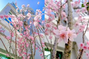 Een tuin van 林居民宿