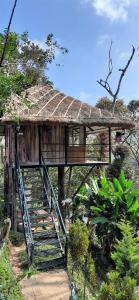 a house with a staircase leading up to it at Noah's Nest Tree House in Thekkady