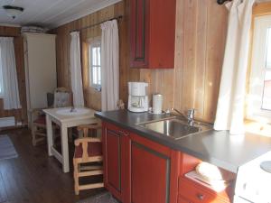 a kitchen with a sink and a counter top at Skåbu Hytter og Camping in Skåbu