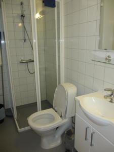 a bathroom with a toilet and a shower and a sink at Skåbu Camping in Skåbu