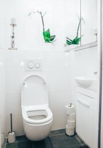 La salle de bains blanche est pourvue de toilettes et d'un lavabo. dans l'établissement Super Studio cosy proche de CDG - Jeux Olympique 2024, à Le Thillay