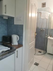 uma cozinha com um chuveiro e uma porta branca em Baross-hat 4 em Szolnok
