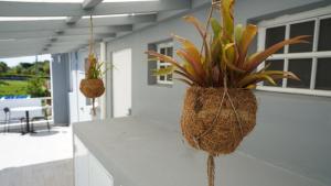 Foto San Juanis asuva majutusasutuse The Pelican Poshtel galeriist
