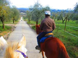 Gallery image of Il Mandorlo di Monteriggioni in Monteriggioni