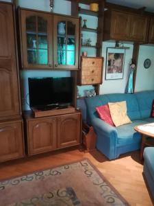 Ferienwohnung Fischl في رست: غرفة معيشة مع أريكة زرقاء وتلفزيون