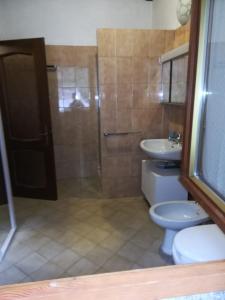 a bathroom with a shower and a toilet and a sink at Casa Lella in Domaso +12 photos