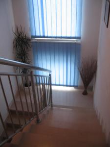 Fotografie z fotogalerie ubytování Apartments Ćenan v destinaci Korčula