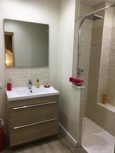 a bathroom with a sink and a shower at Chambre privée au calme excellente prestation in Castelnaudary