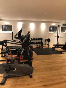 einen Fitnessraum mit Laufband und Heimtrainer in der Unterkunft Ski & Nature Apartment in Mauterndorf