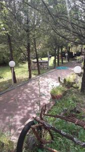 Zahrada ubytování Bed & Breakfast SUITE + 11 fotografií