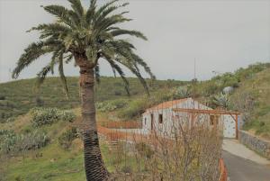 Táj Show holiday homes közelében