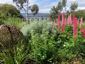 Afbeelding uit fotogalerij van Troldhaugen Lodge - Adults Only in Jindabyne