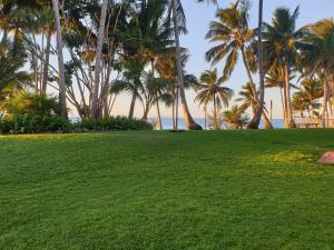 a park with palm trees and the ocean in the background at JAROLIFE4 Room 135 in Eimeo