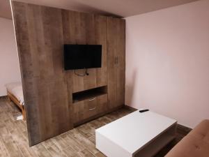 TV a/nebo společenská místnost v ubytování Green Villa Rodna