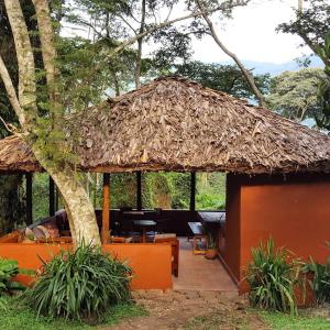 Kinkizi的住宿－Bwindi Guest House，茅草屋顶的大型小屋